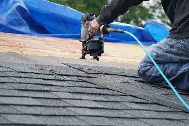 Best Roof Gutter Cleaning  in Winterville, NC