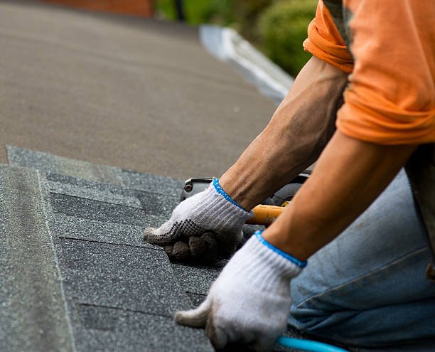 Best Shingle Roofing Installation  in Winterville, NC