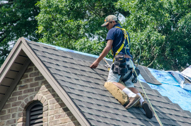 Best Metal Roofing Contractor  in Winterville, NC